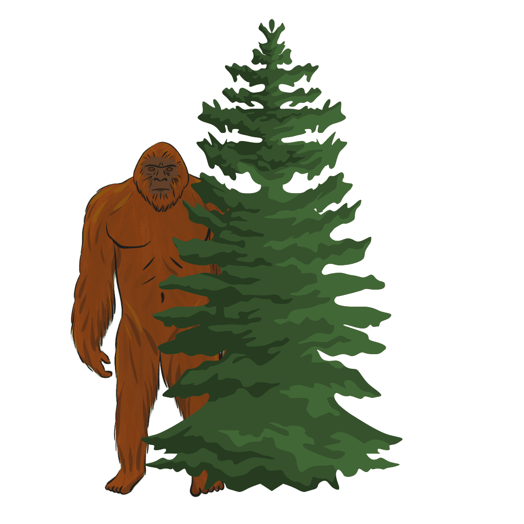 Bigfoot evidence clipart background