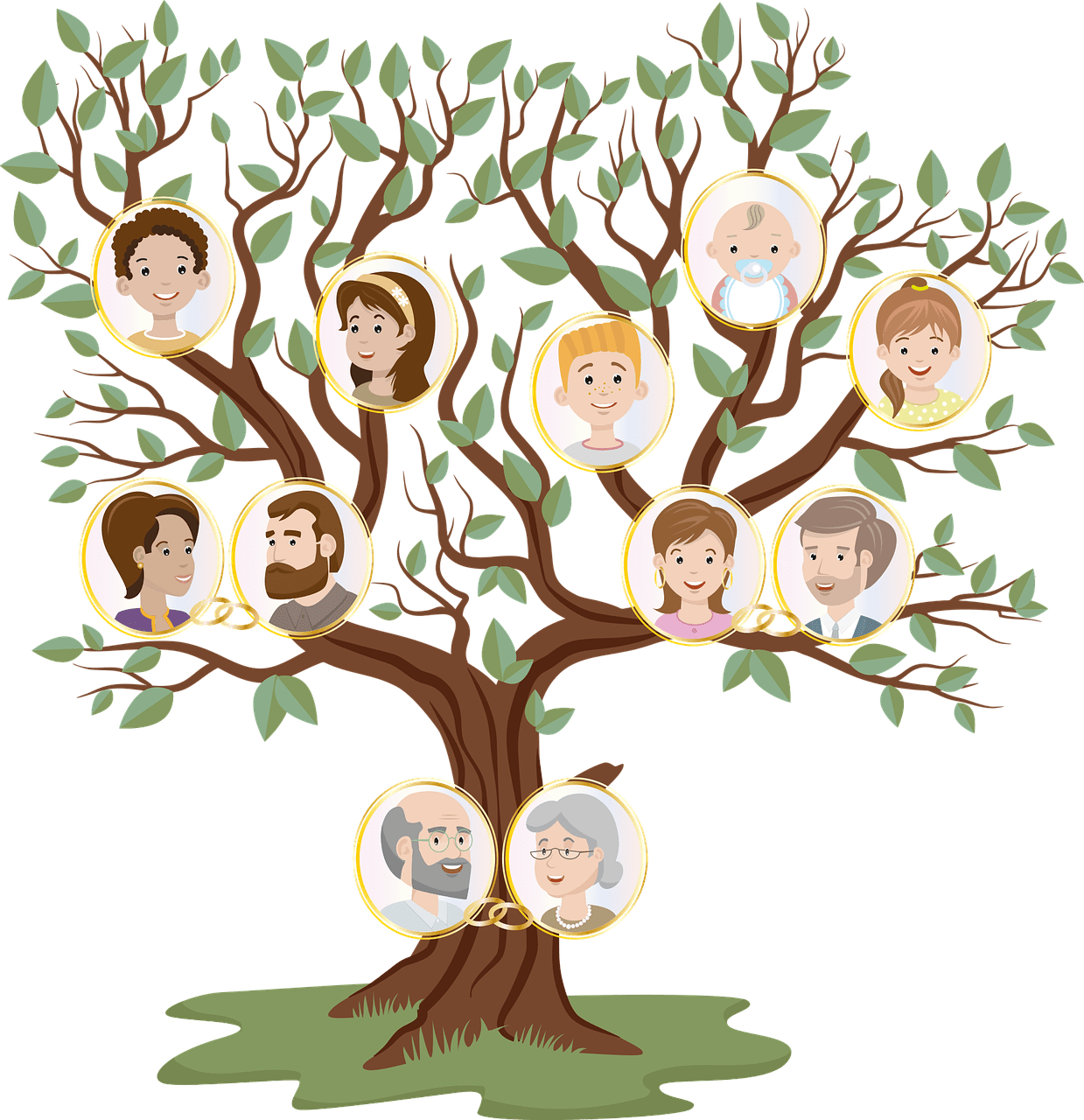 Family tree genealogical table clipart logo