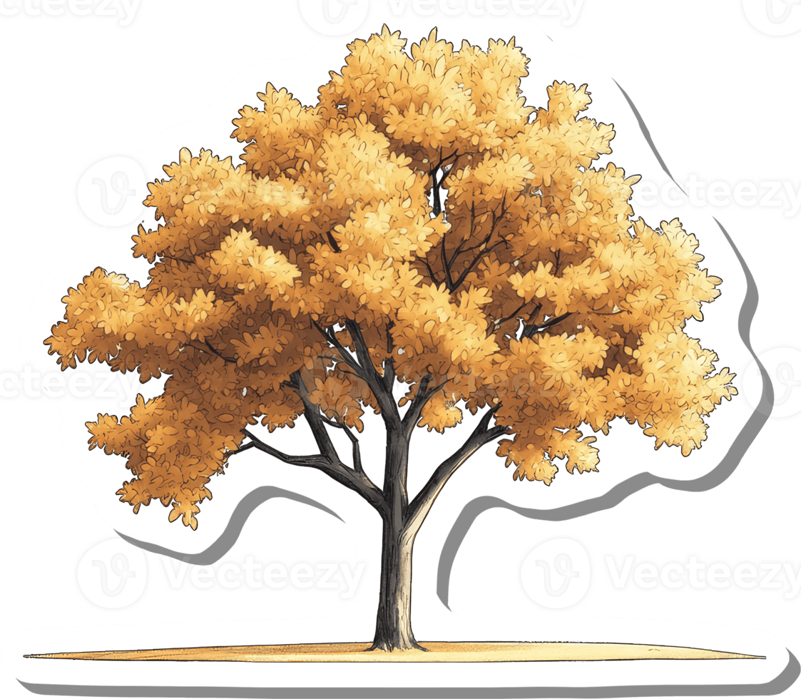 Fall tree golden for clipart background