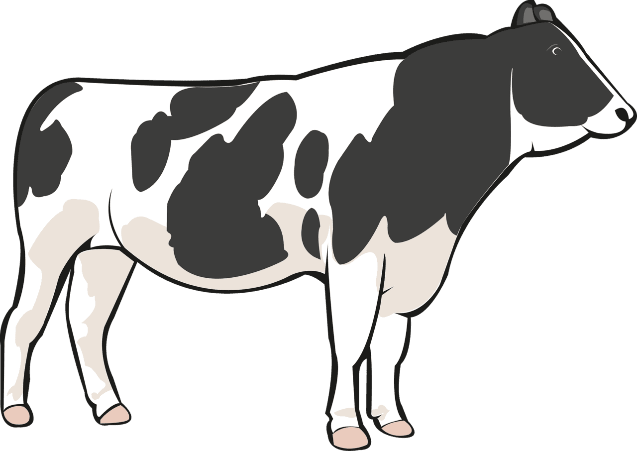 Cattle cow vector clipart images 3