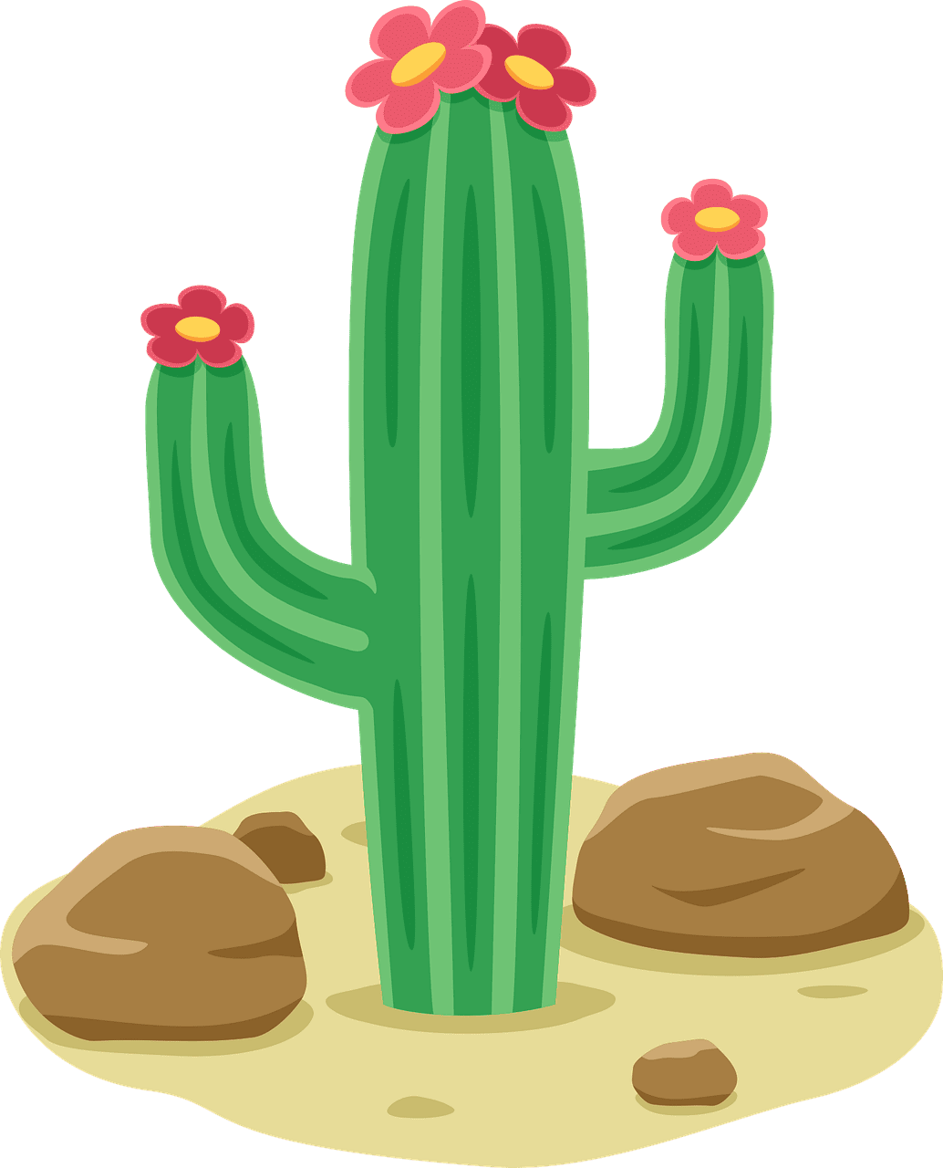 Cactus desert nature vector graphic clipart