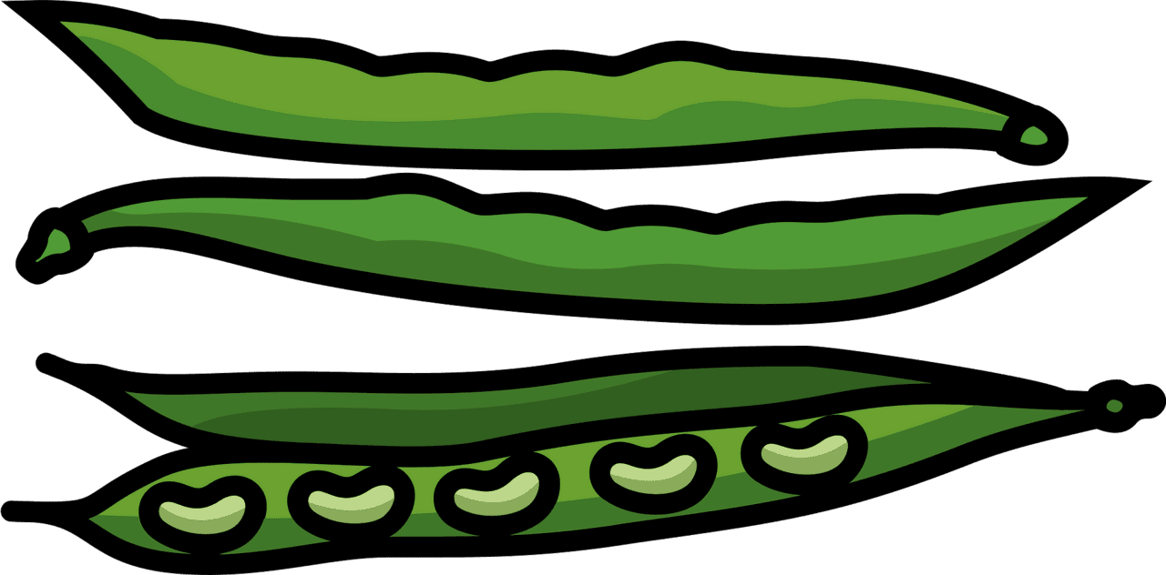 Green beans vector clipart images 2