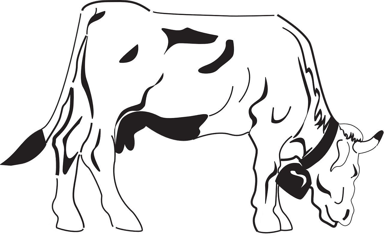 Cow black and white nature grazing vector graphic clipart