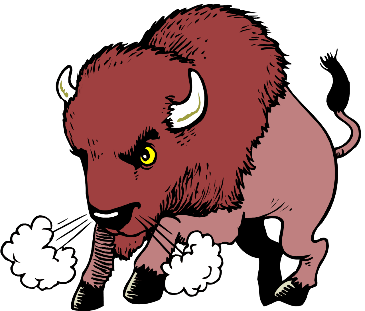 Cartoon water buffalo clipart picture