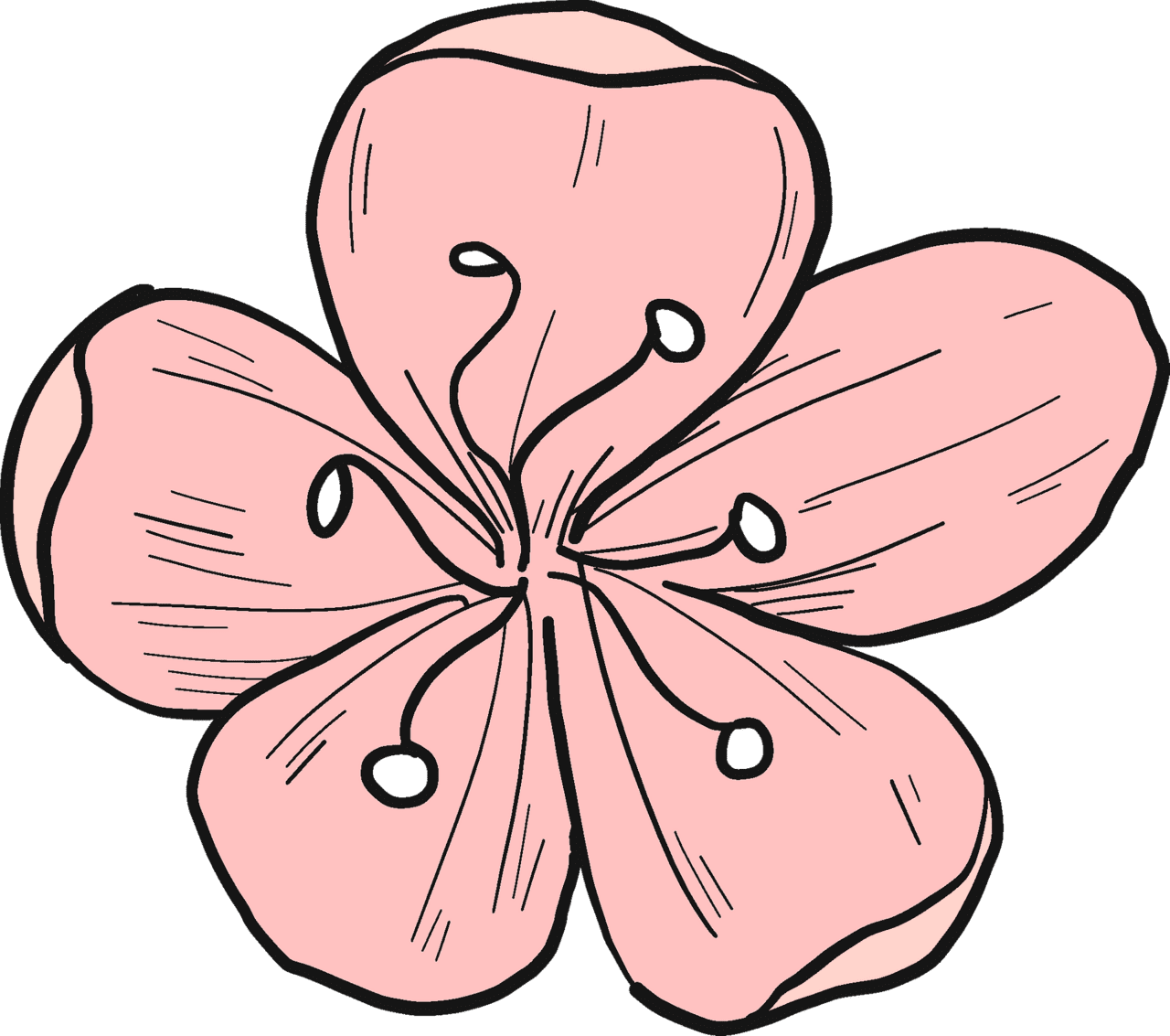 Cherry flower vector clipart images 2