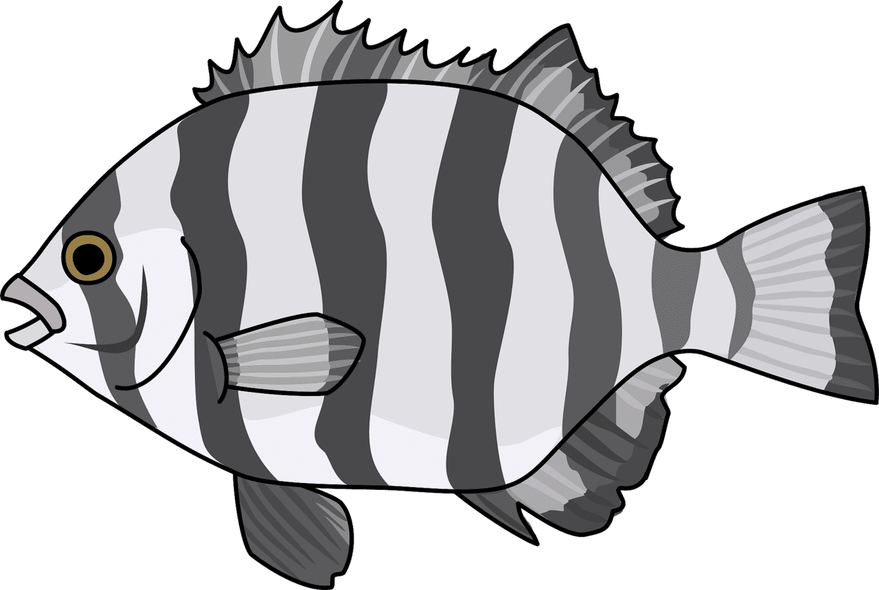 Black white fish striped beakfish vector clipart images