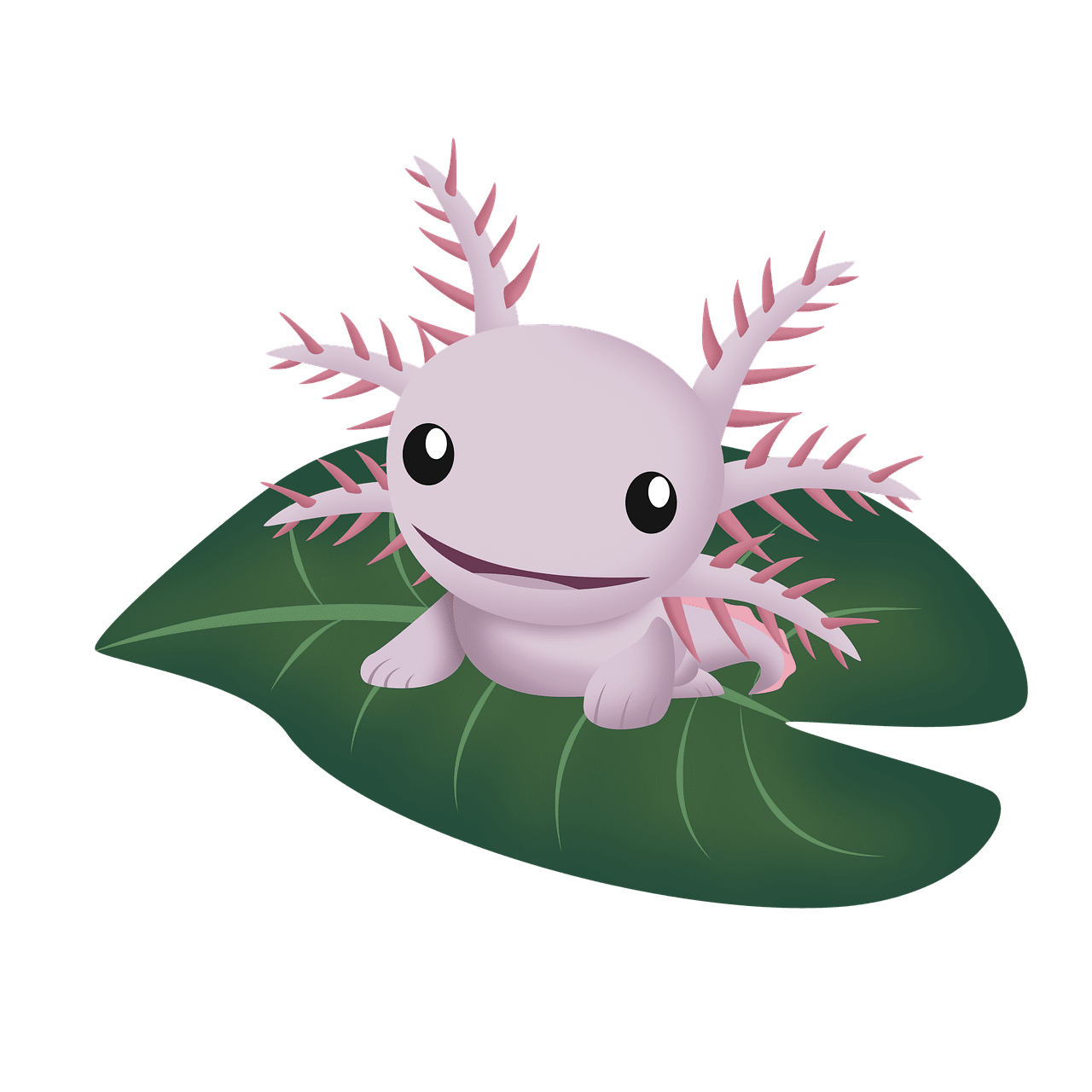 Explore baby axolotl now clipart free