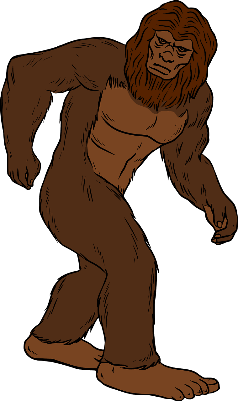 Bigfoot sasquatch vector art graphics clipart