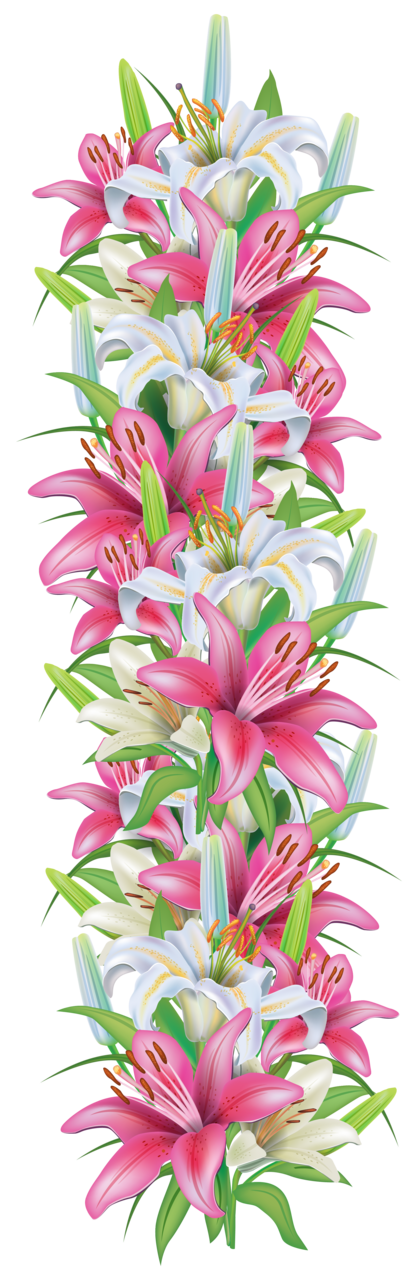 Floral border pink and white lilies decoration clipart image