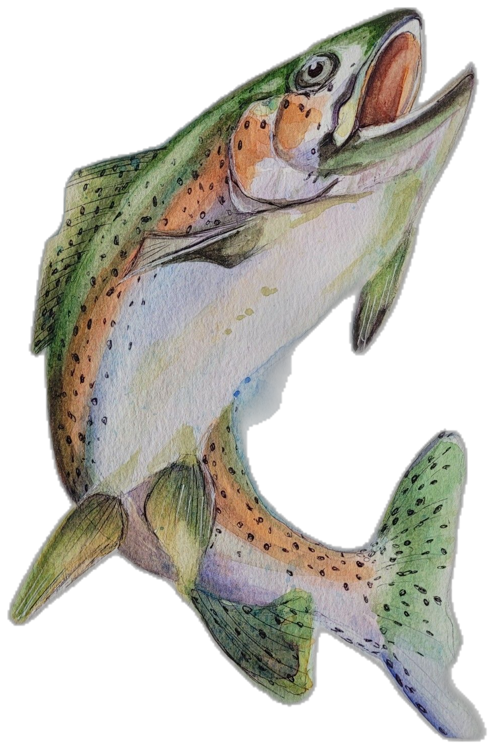 Bass jumping trout painting eclecticstudiotammy clipart background