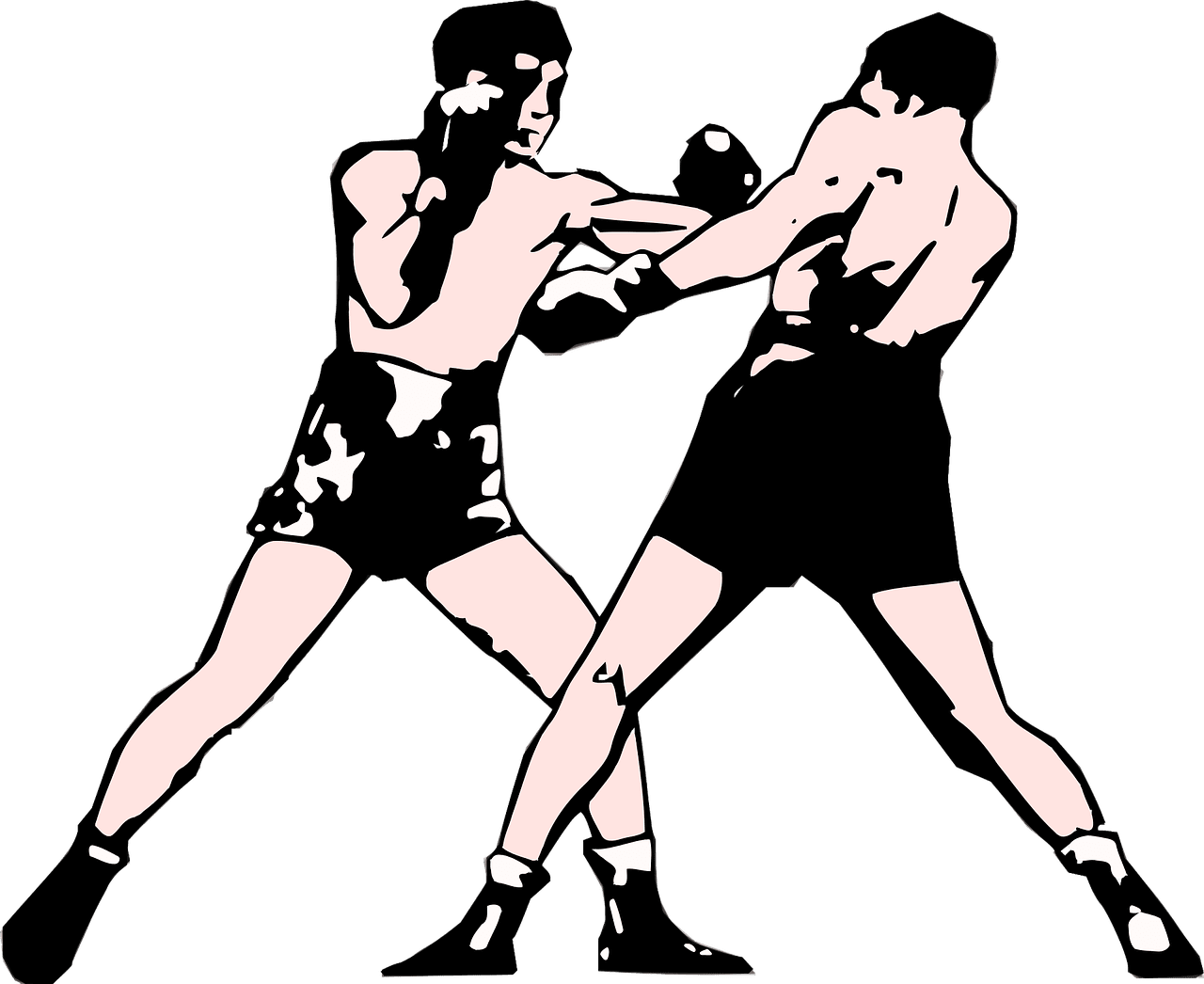 Boxeo boxing fight perfect art vector graphic clipart