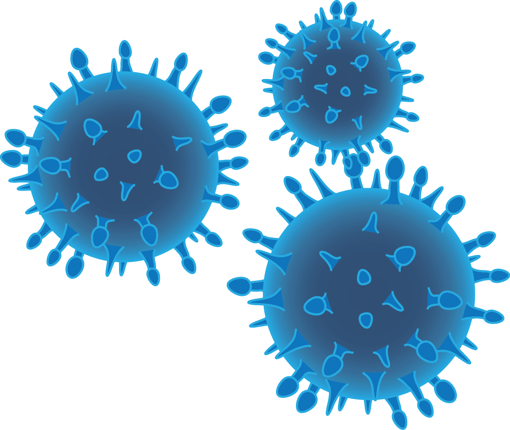 Bacteria image size clipart 3