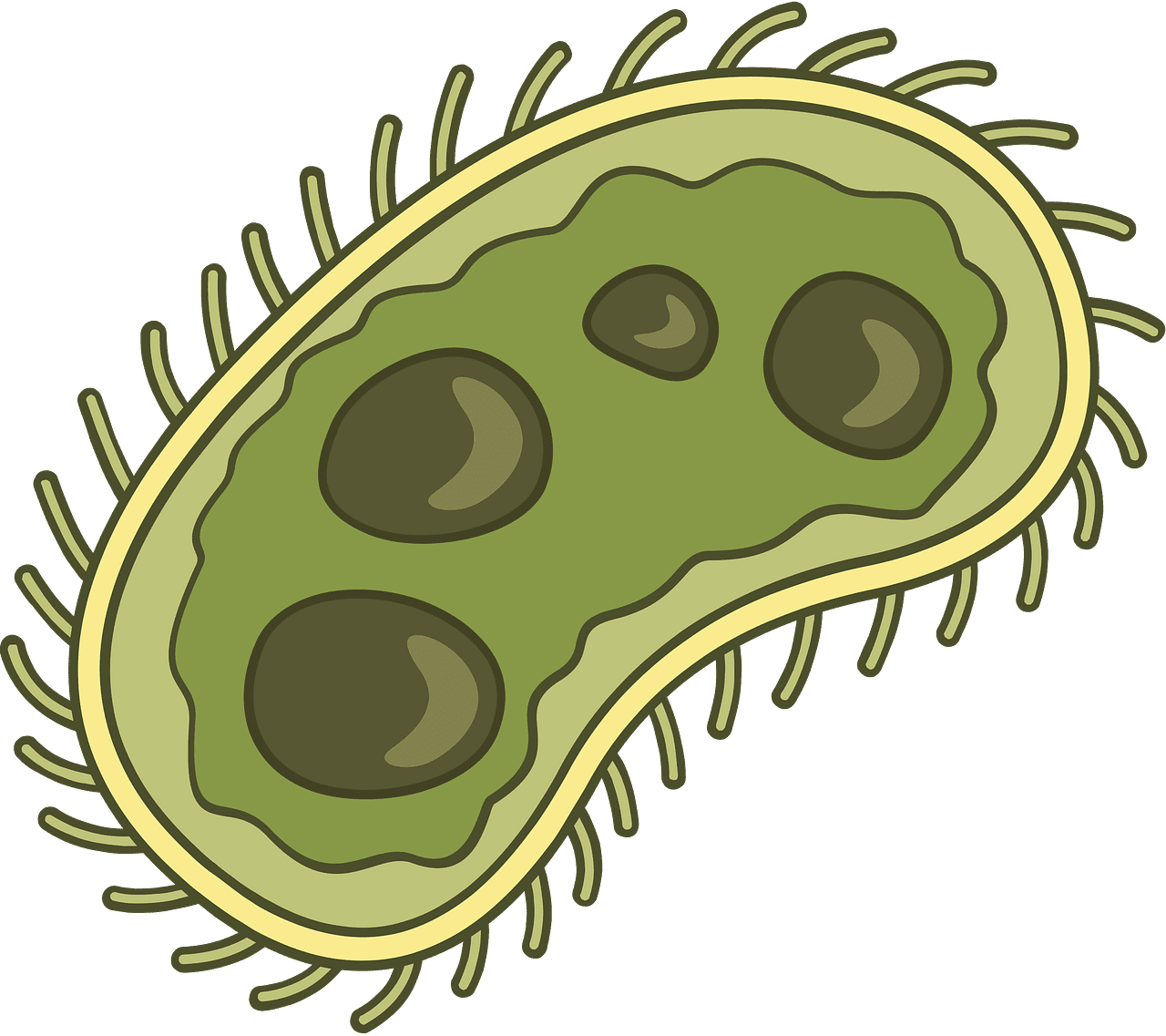 Bacteria germ vector clipart images 4