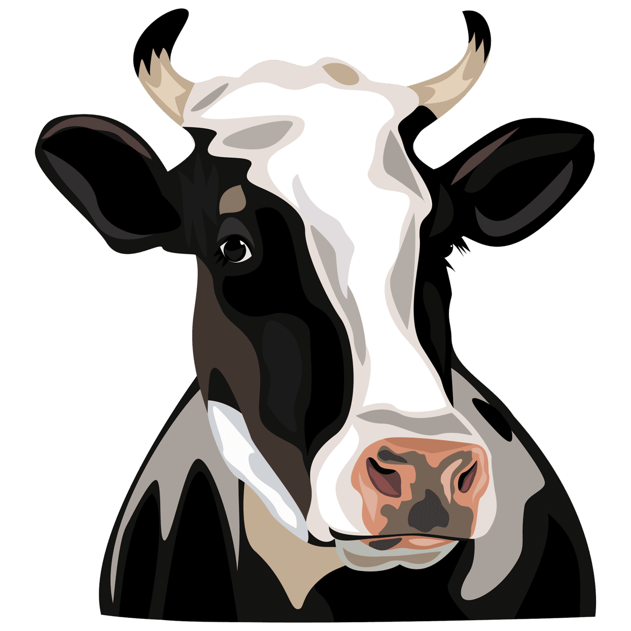 Cow black and white pin page clipart transparent