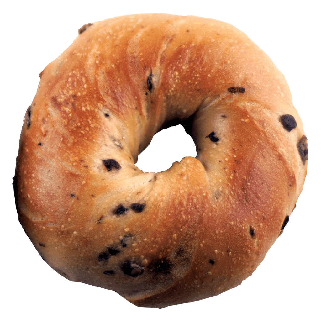 Bagel image size clipart 3