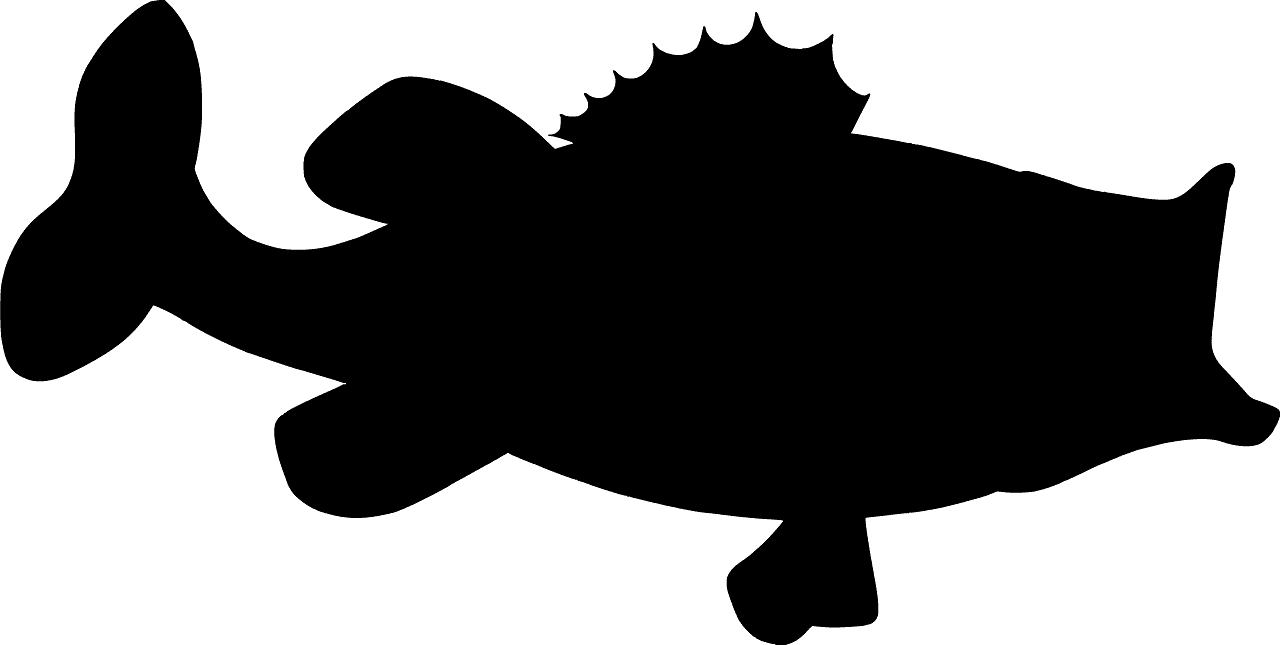 Largemouth bass vector silhouettes clipart