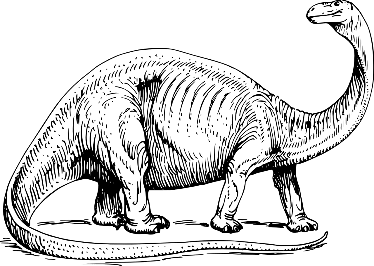 Dinosaur black and white bones clipart brontosaurus image with no background