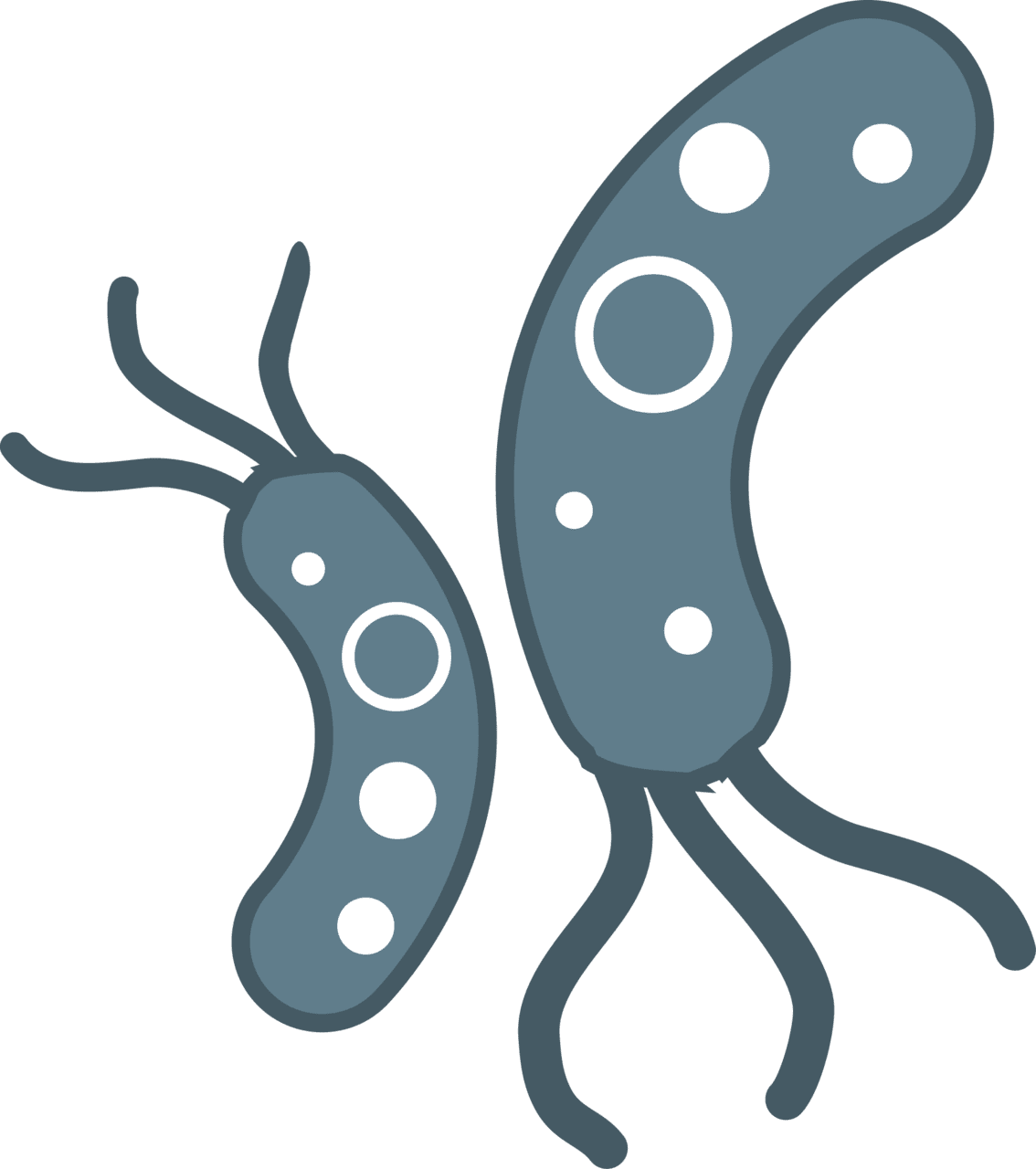 Bacteria image size clipart