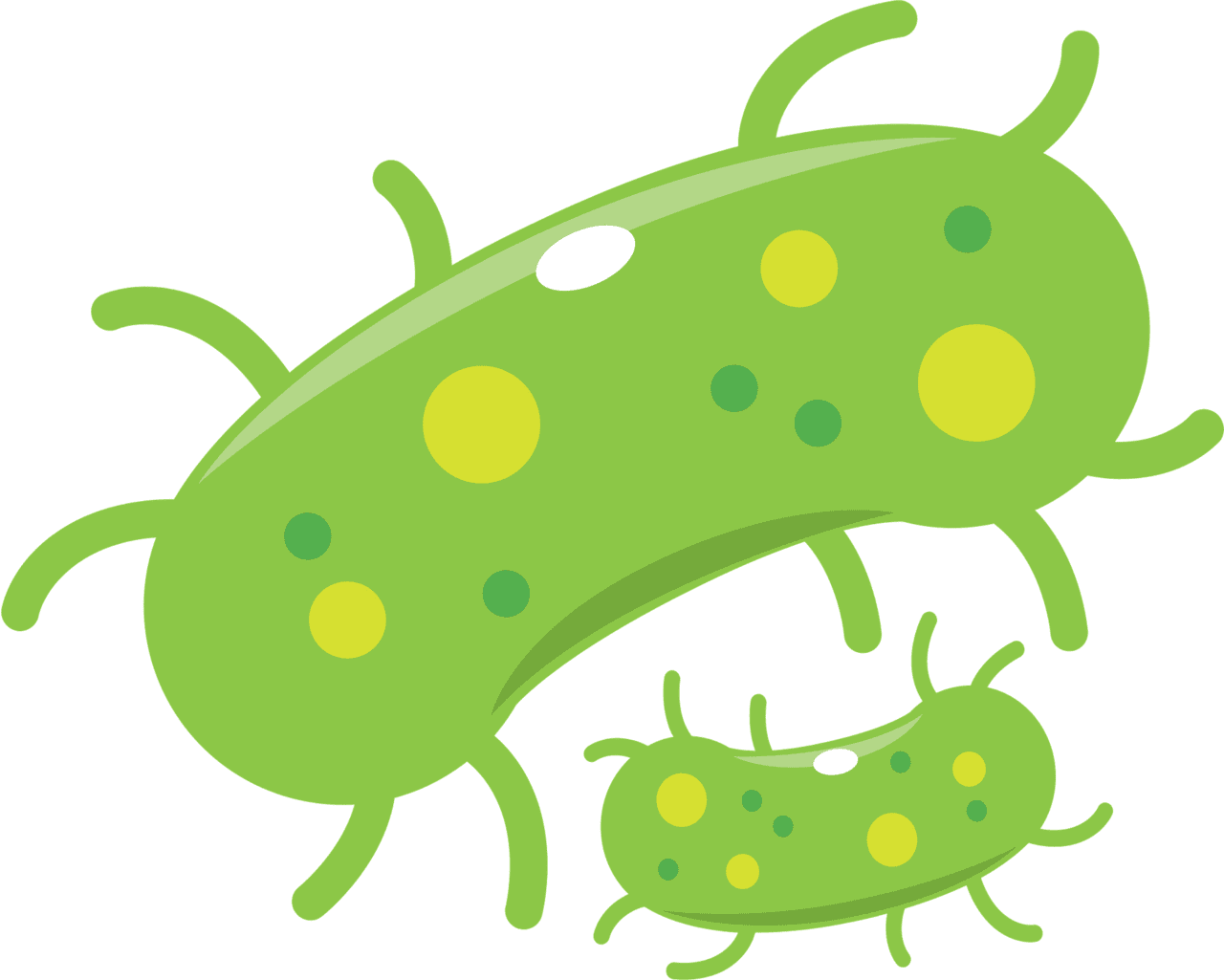Bacteria vector clipart images 2