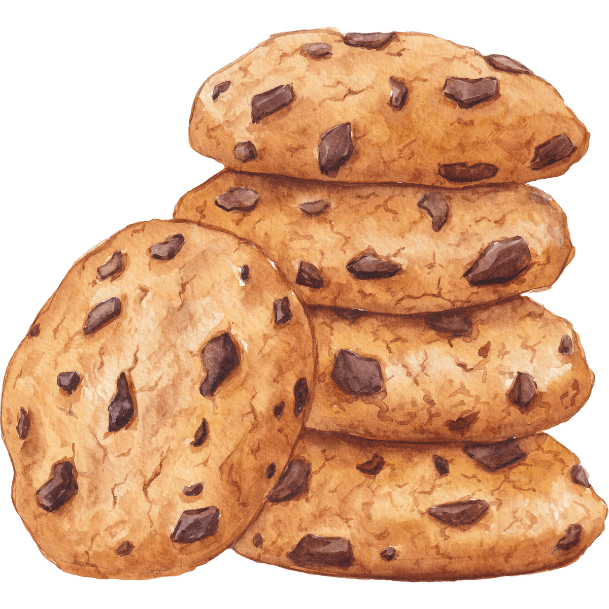 Gourmet chocolate chip cookie bart and judy bakery clipart free