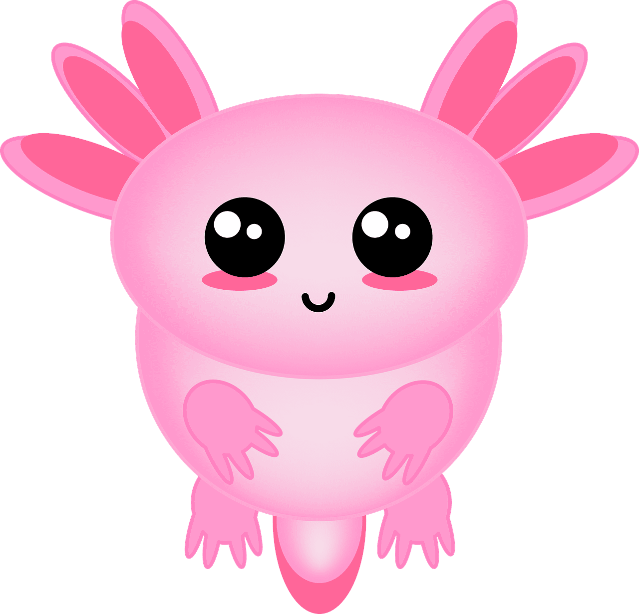 Axolotl animal creature image clipart