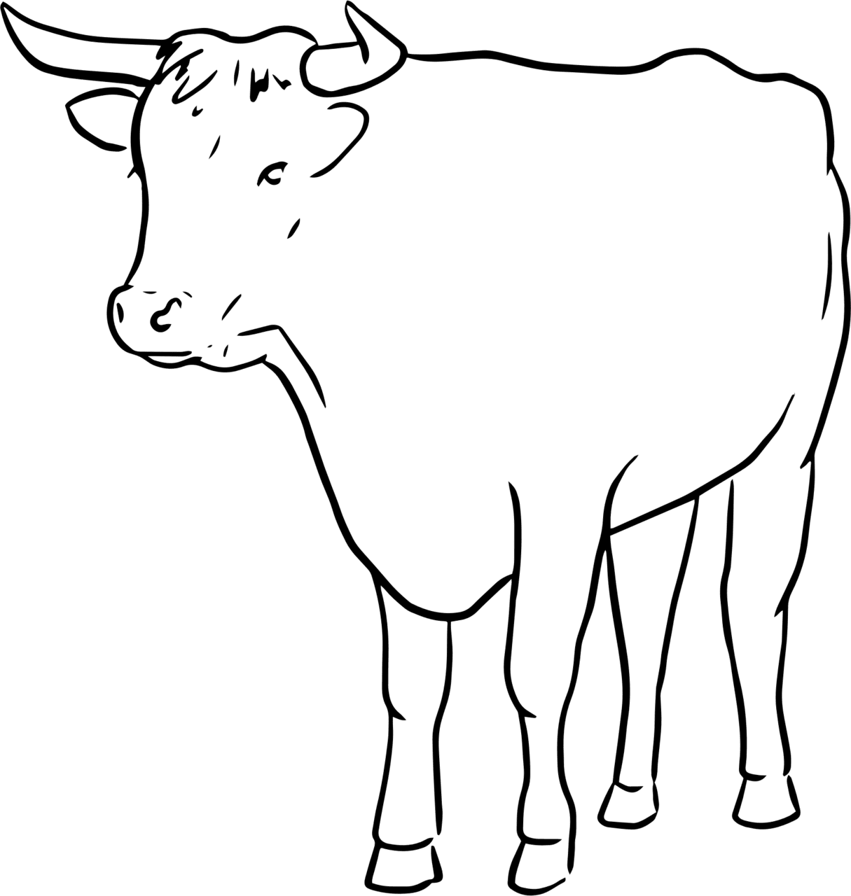 Hd clipart bull line art image