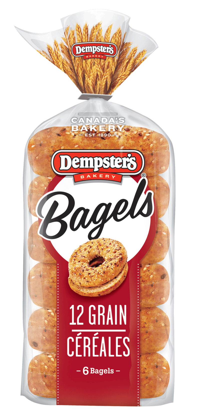 Bagel packaging ideas bread bakery clipart vector