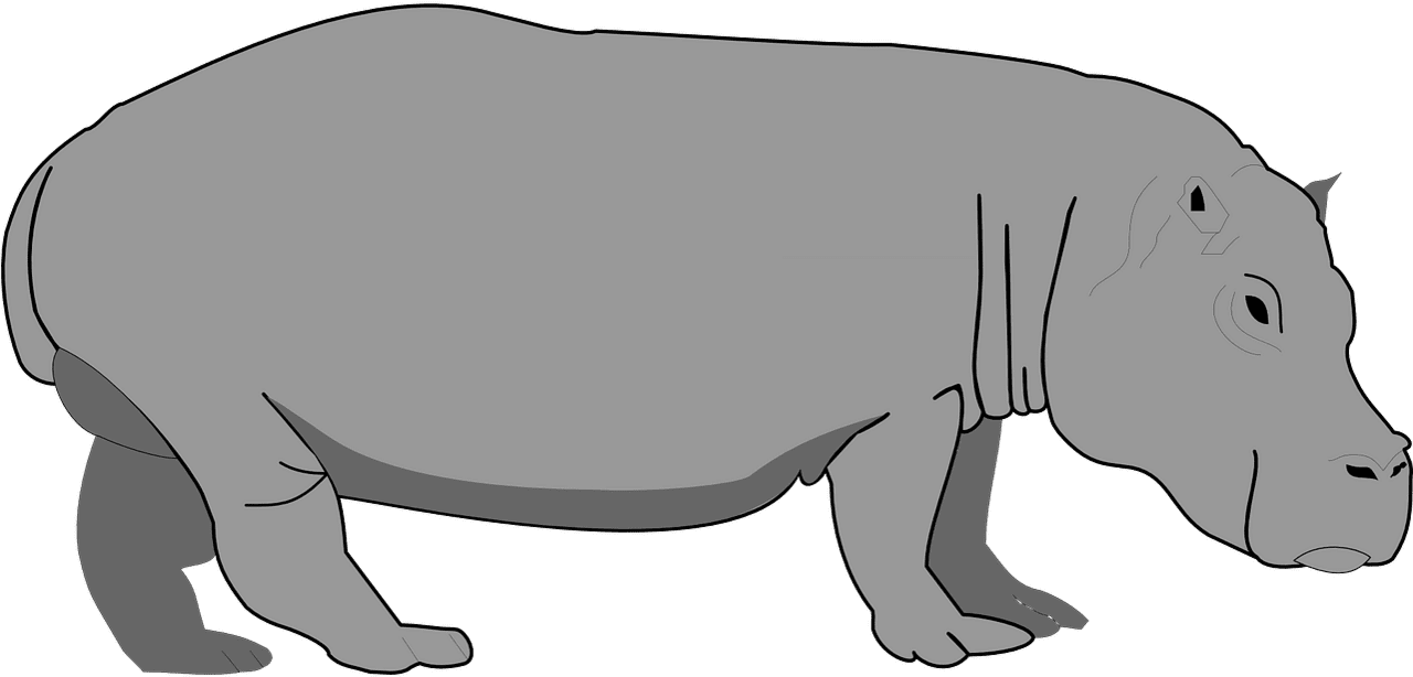 Hippo gray hippopotamus clipart image with no background