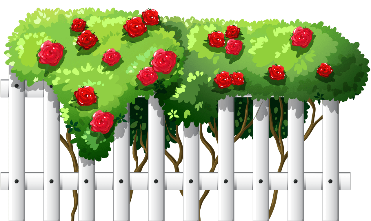 White fence with roses clipart best free