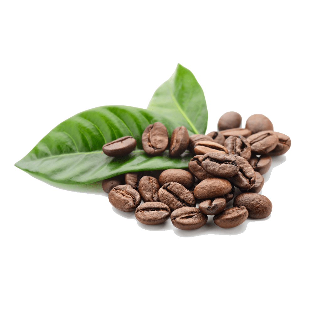 Coffee beans green leaves roasted aromatic clipart all free