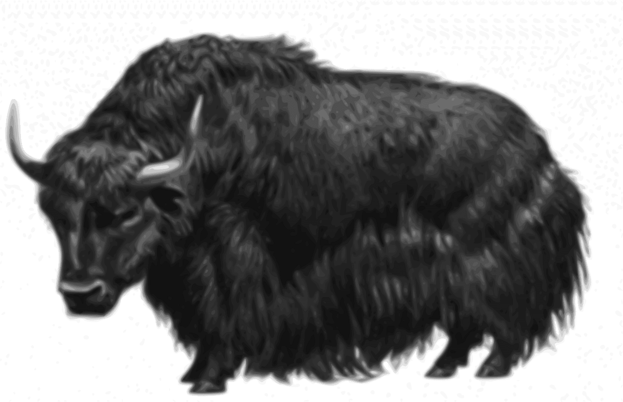 Bull yak vector clipart image photo cc images