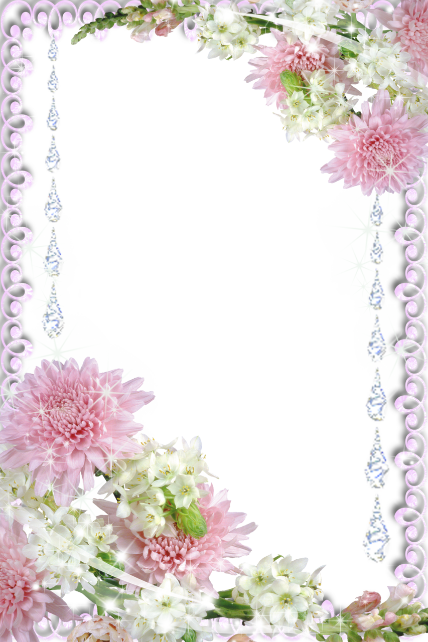 Floral border real flowers photo frame clipart