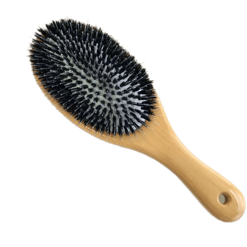 Brush hair wood clipart photo