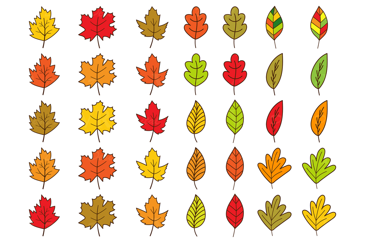 Cute fall autumn clipart forest graphics and by vr digital design clip art