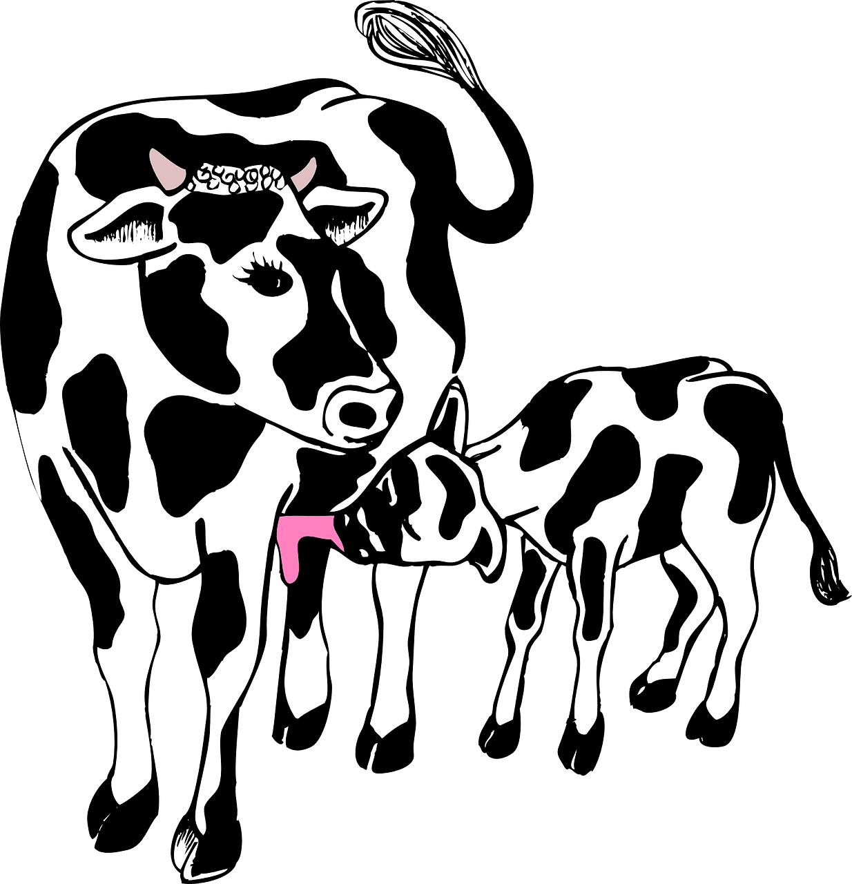 Cow black and white with calf vector art graphics clipart