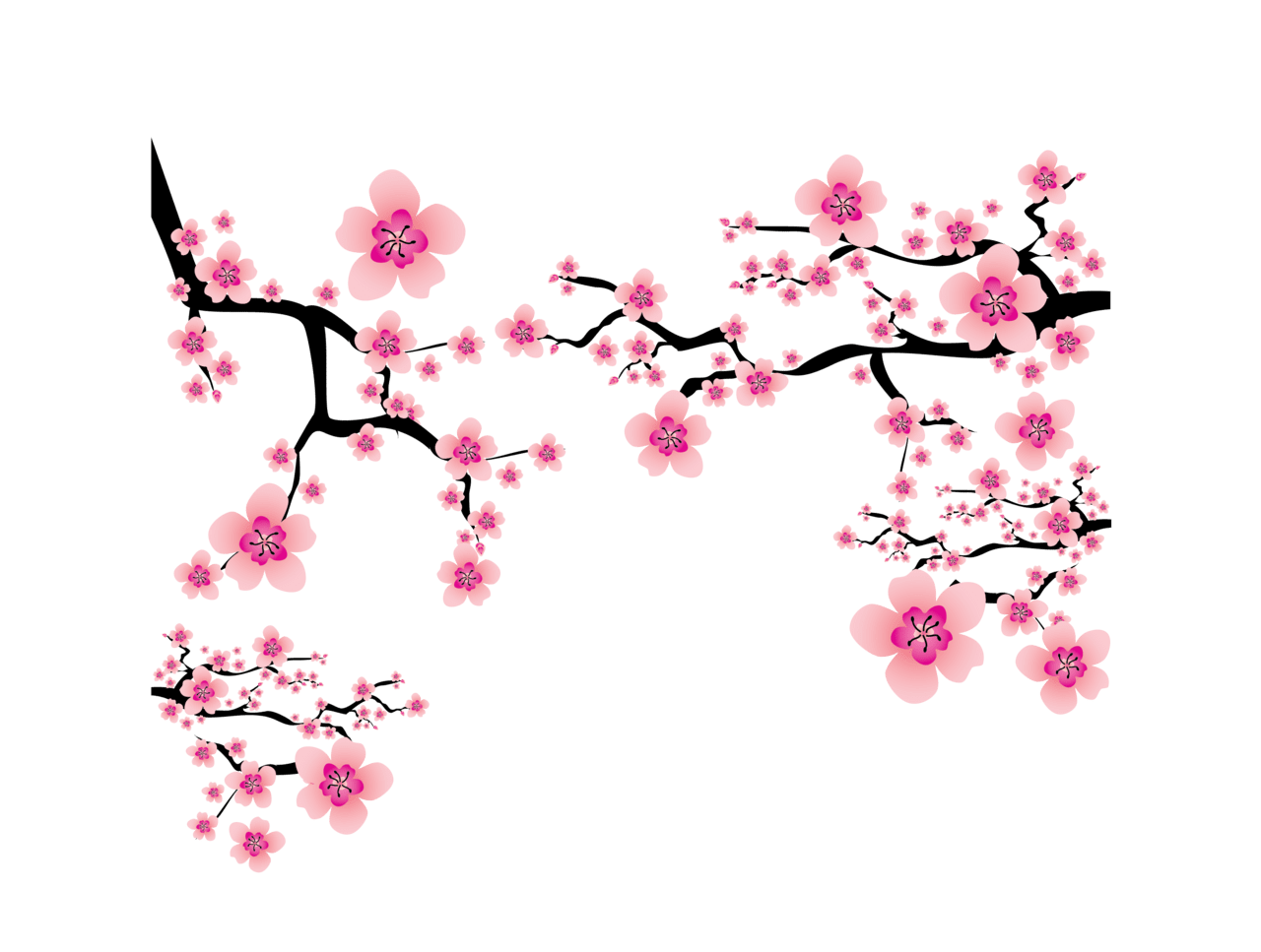 Cherry flower pin page clipart background