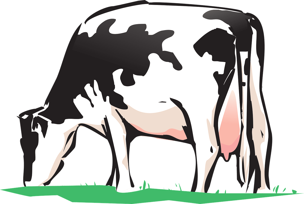 Cattle cow farm animal vector graphic clipart