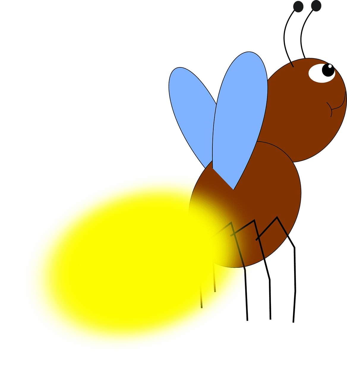 Firefly beetle forest vector graphic clipart