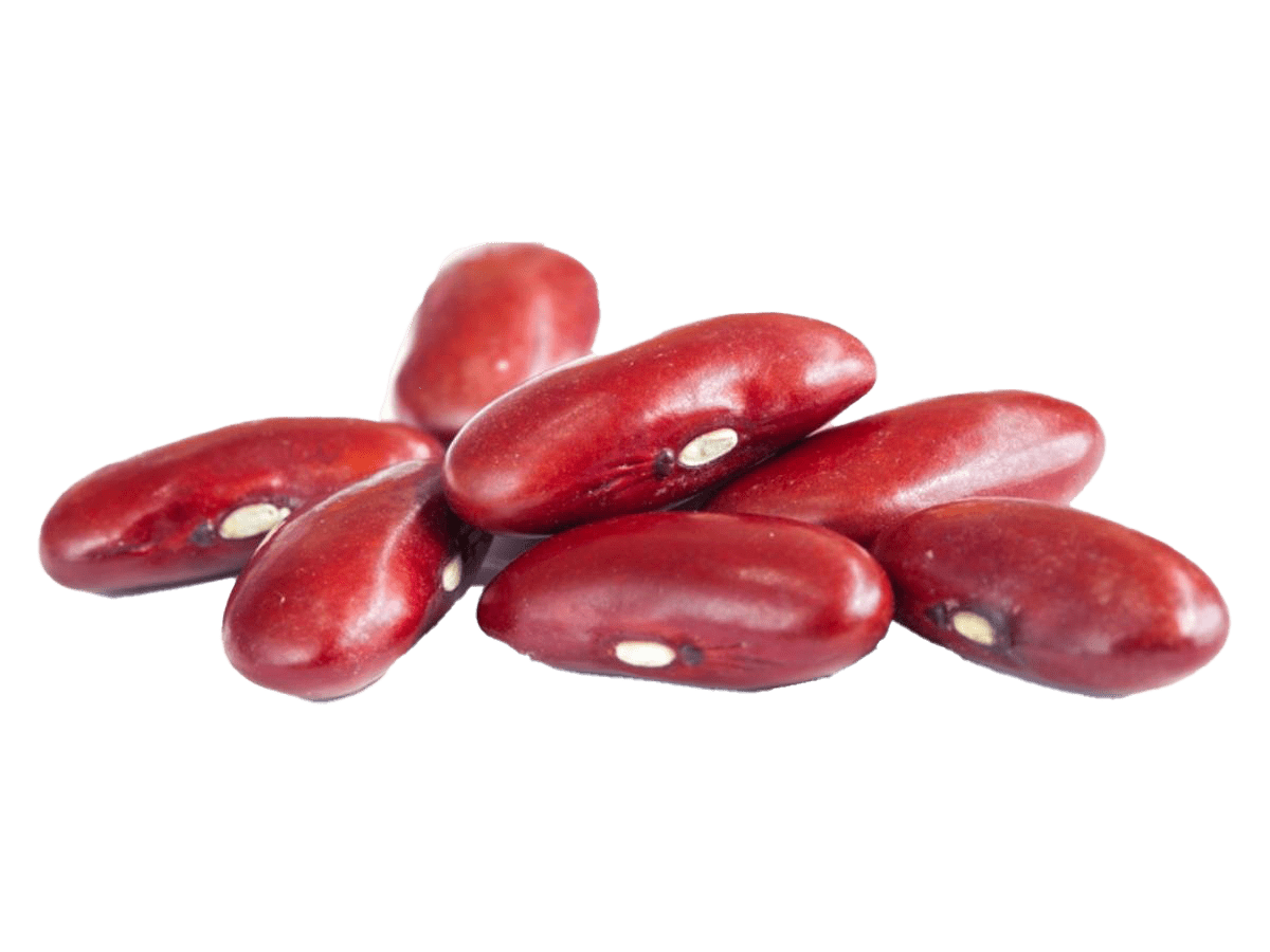 Red kidney beans clipart all logo