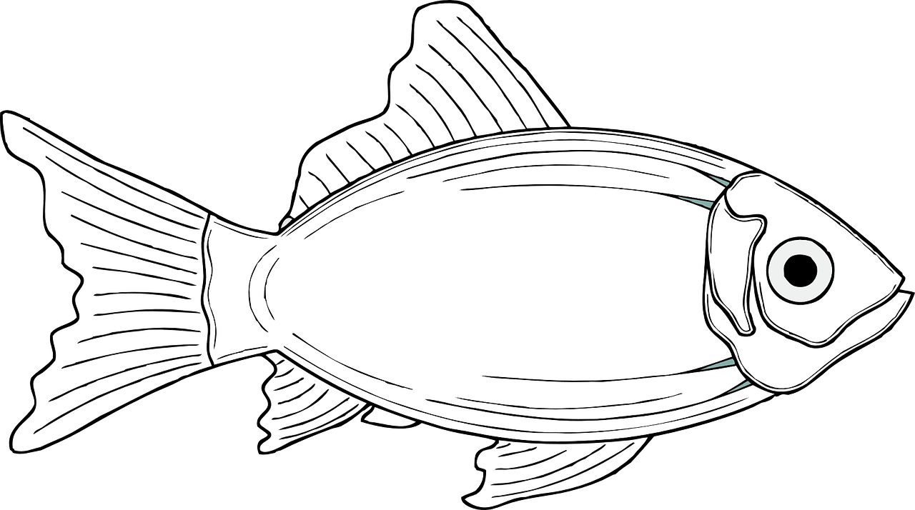 Black white fish cod nature vector graphic clipart