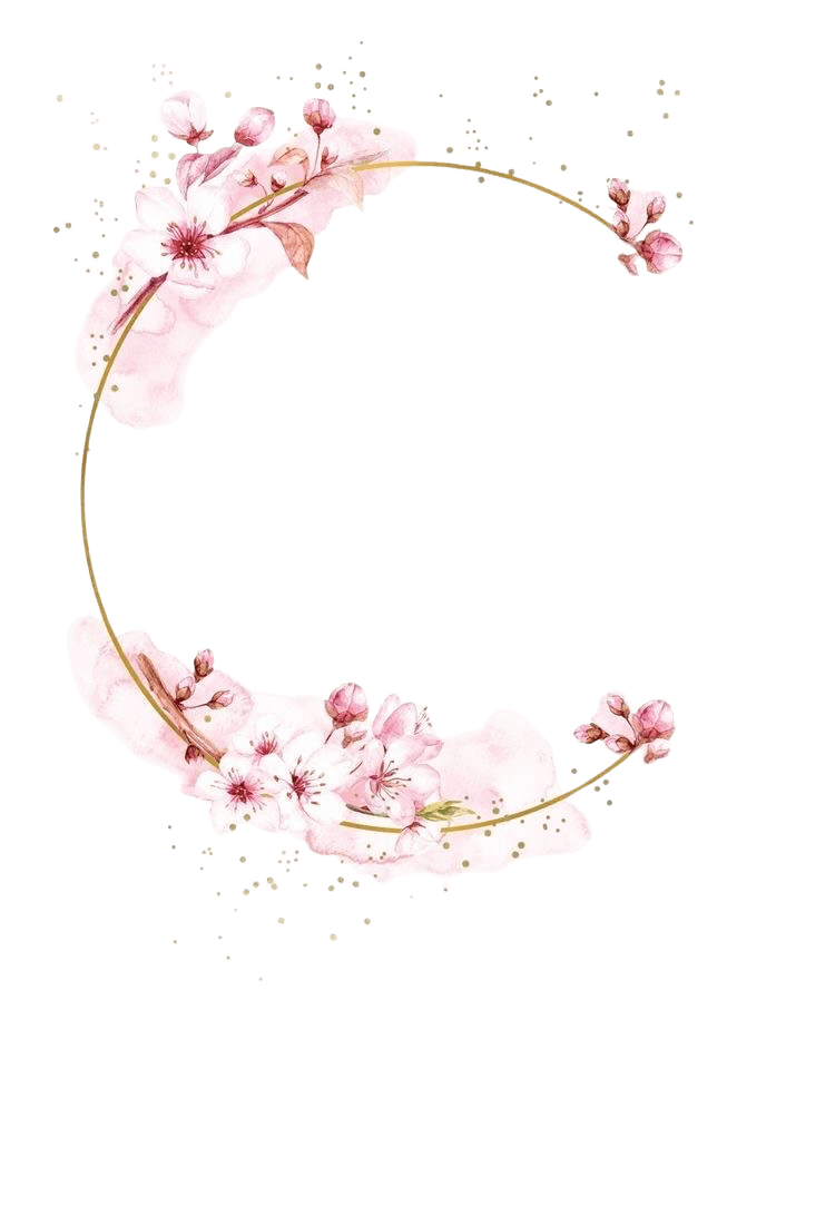 Cherry flower page clipart transparent 2