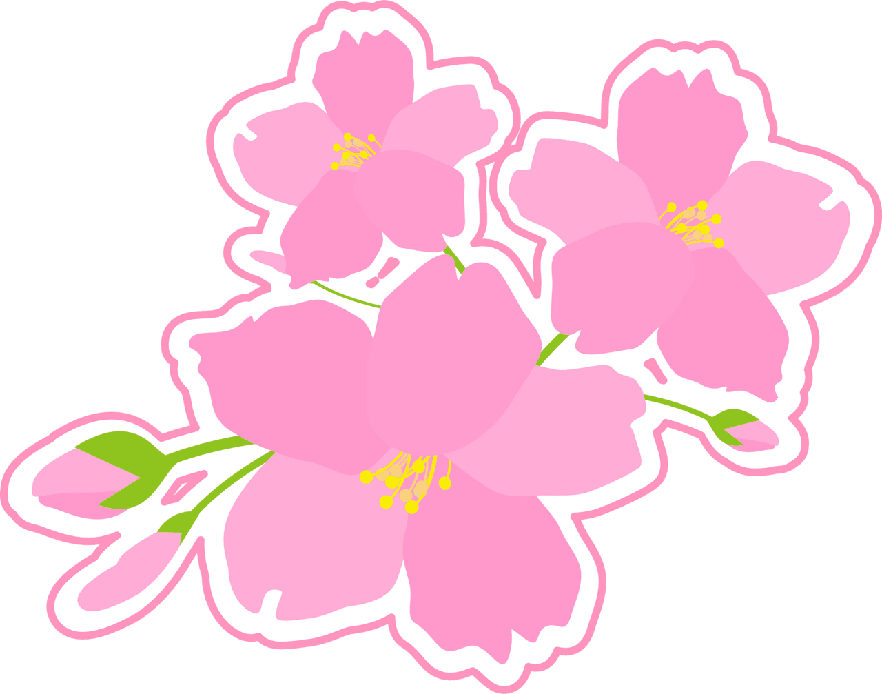 Cherry flower blossoms vector clipart images 2