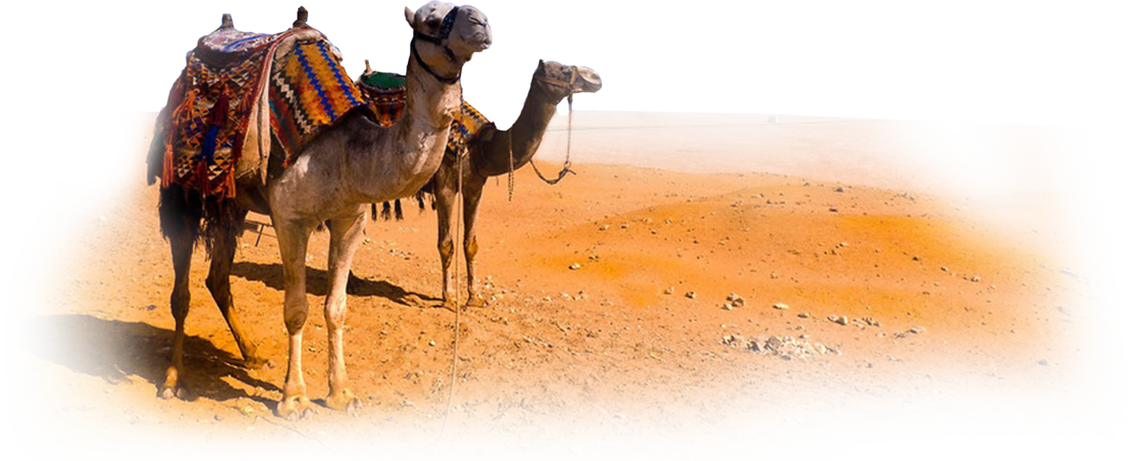 Save desert clipart background