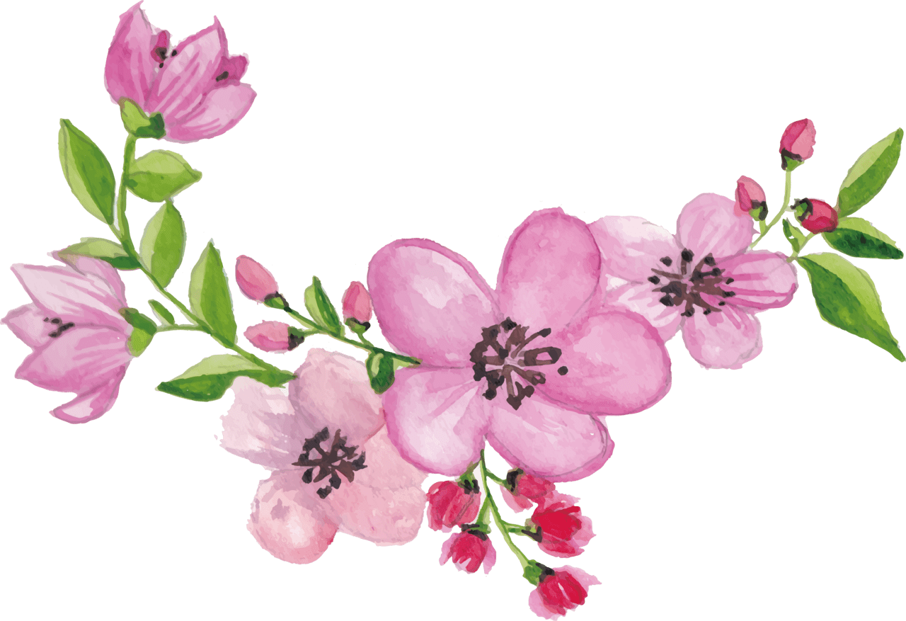 Cherry flower pin page clipart picture