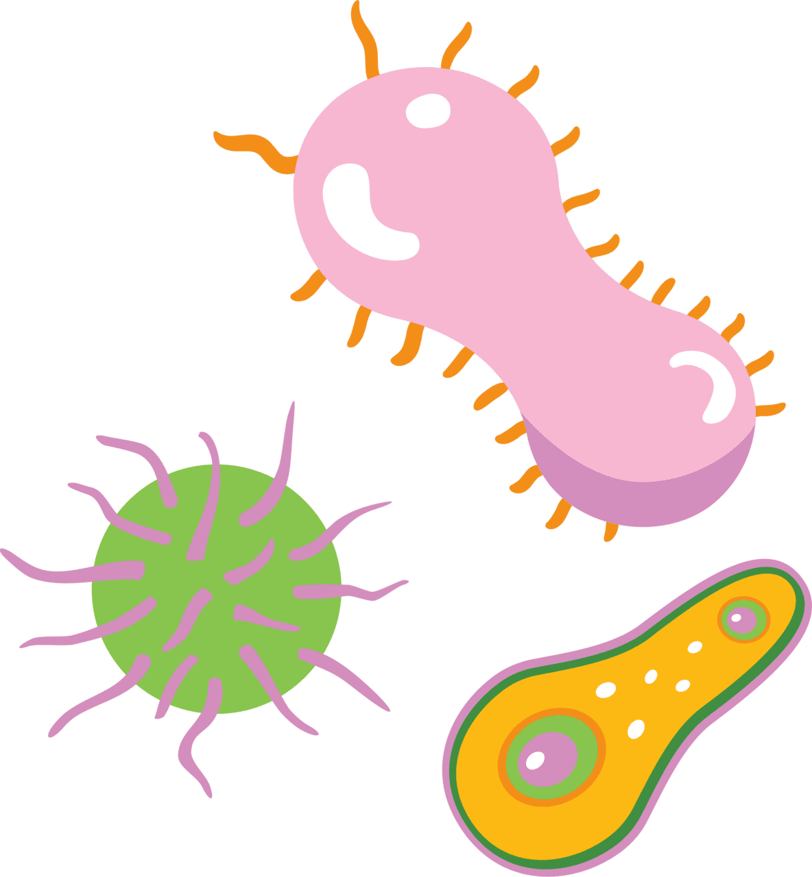Bacteria vector clipart images 3