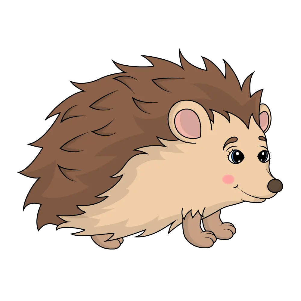 How to draw hedgehog step by clipart transparent