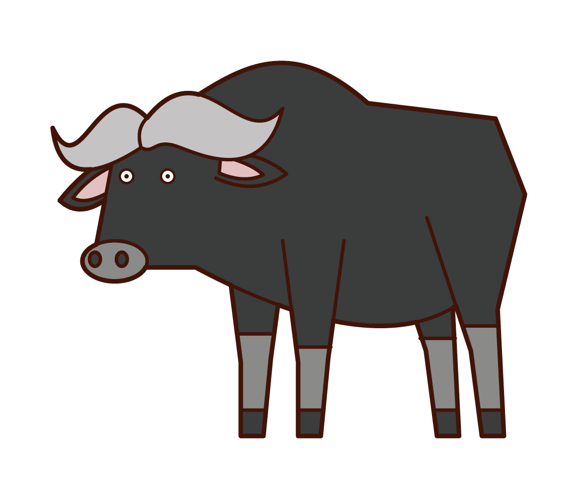 Of buffalo clipart photo