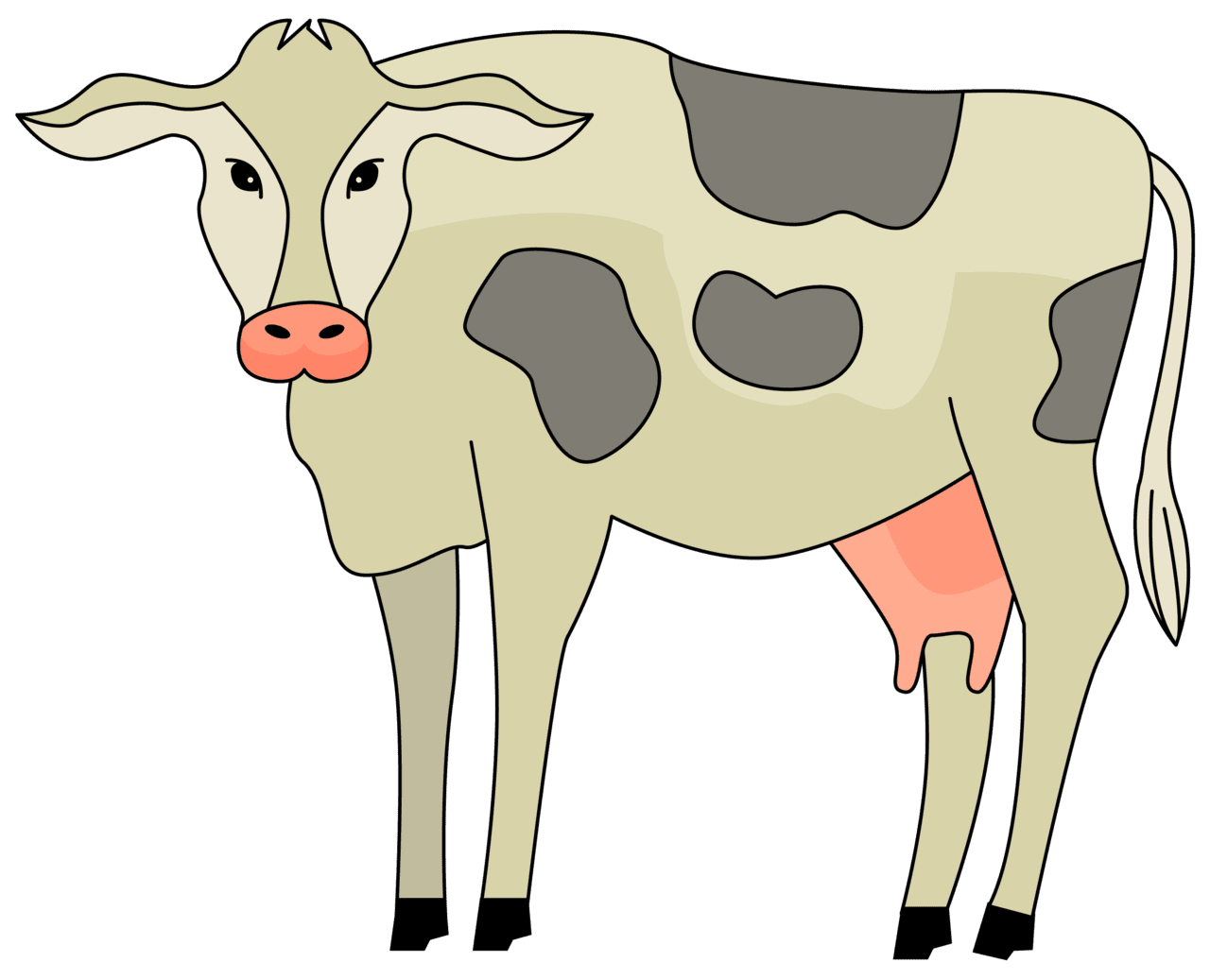 Cattle cow vector clipart images