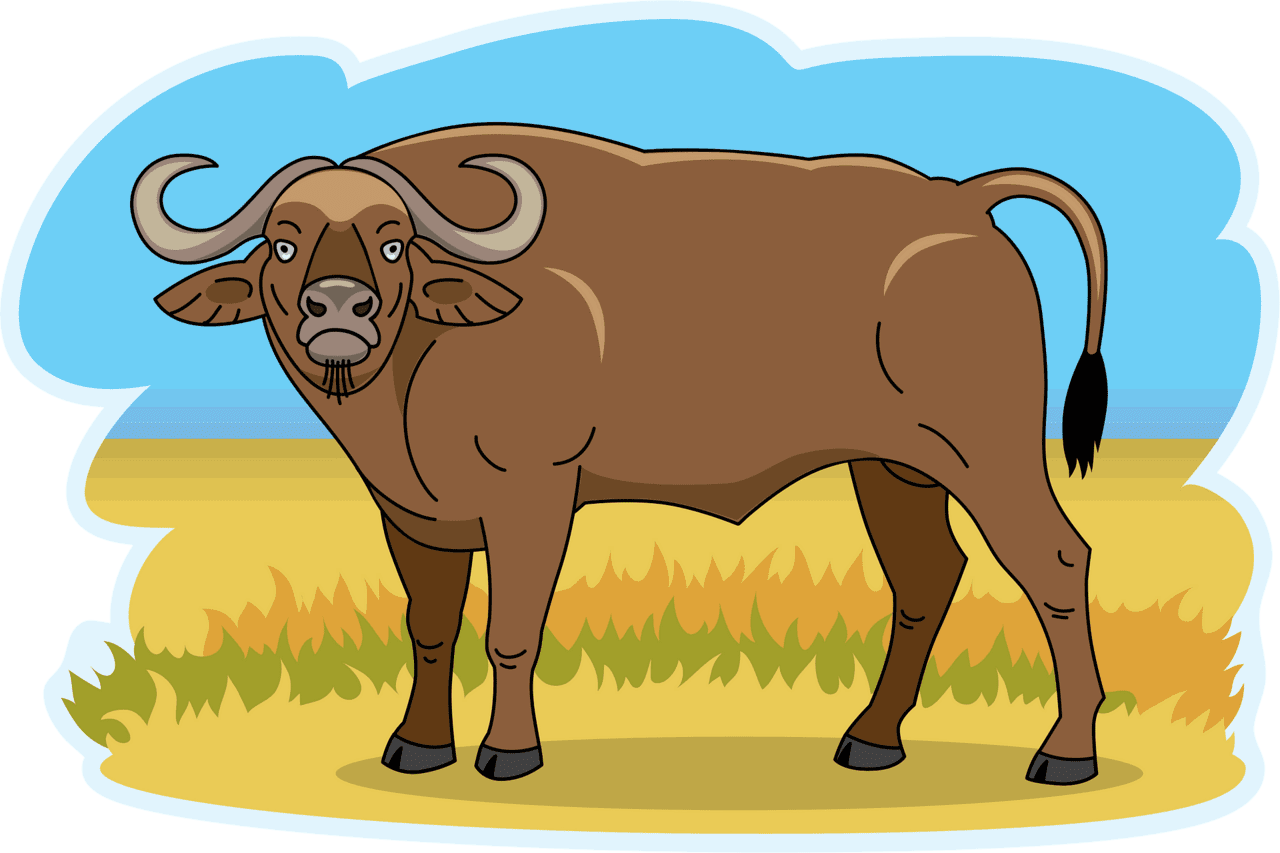 Buffalo vector clipart images