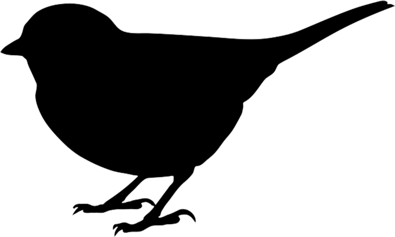 Bird black and white clipart of blackbird cute pencil free